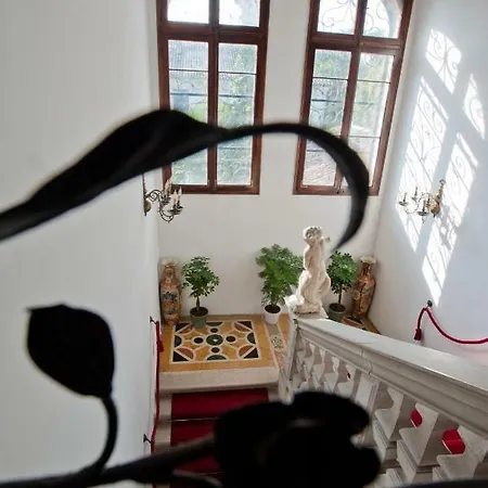 Navagero Erizzo Vila *